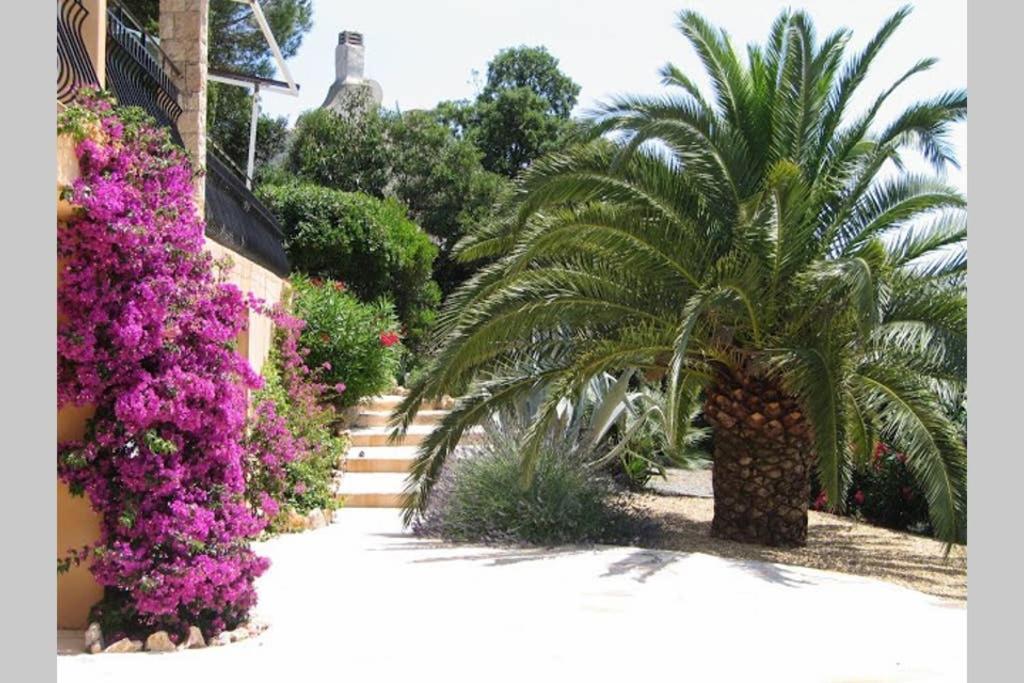 Lou Pei 2 Villa Saint-Peïre-sur-Mer Eksteriør billede